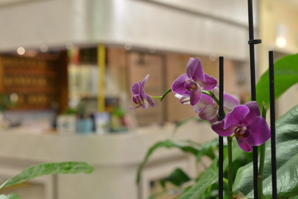 Hotel Marselli ริมินี ภายนอก รูปภาพ