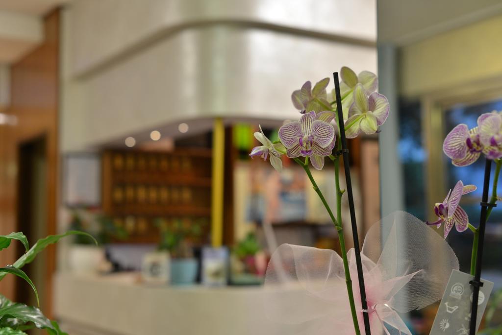 Hotel Marselli ริมินี ภายนอก รูปภาพ